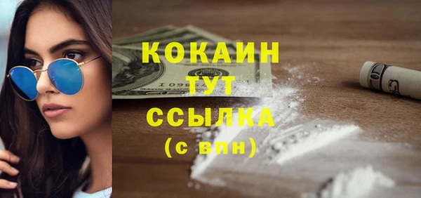 стафф Кодинск