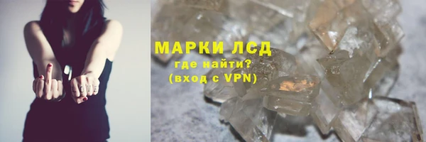 стафф Кодинск