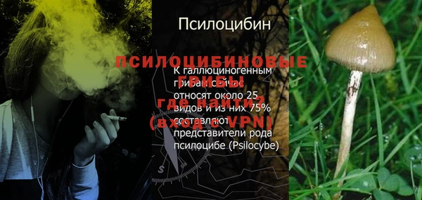 стафф Козловка
