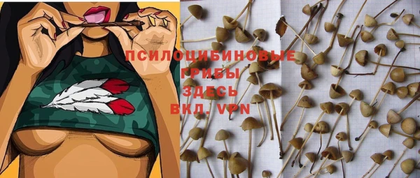СК Абинск