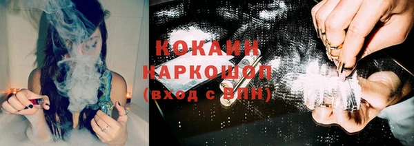 стафф Козловка