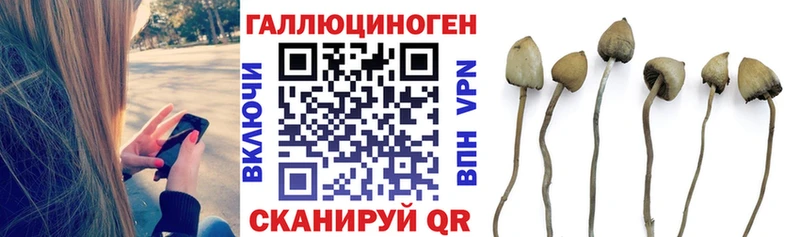 Псилоцибиновые грибы мухоморы  Липецк 